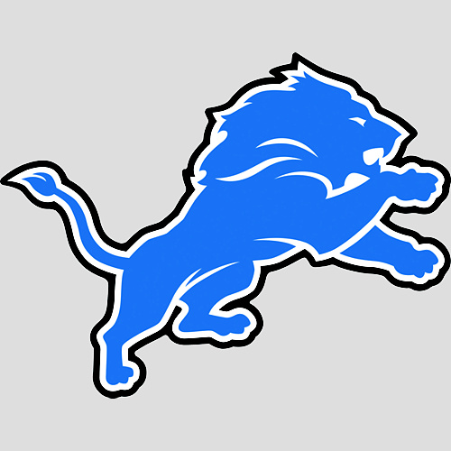 DETROIT LIONS  -  NFL Items