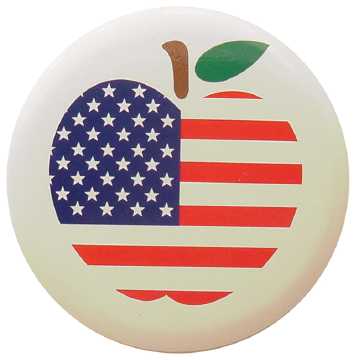 Patriotic Button Pin FP20