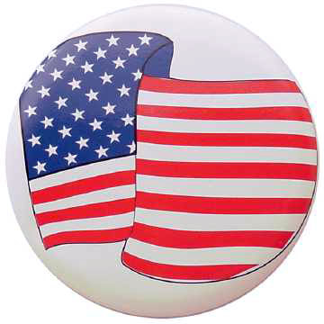 Patriotic Waving Flag Pin FP23