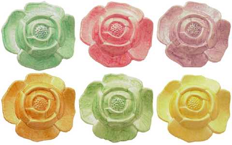 Assorted Acrylic Flower Hair Clip HB2692