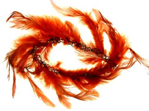 Brown Feather Choker Necklace NC91894