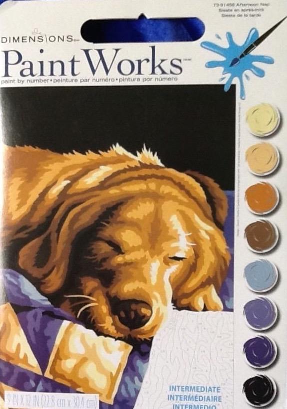Paint By Number Craft Kit