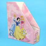 Disney- Princess Magazine Holder