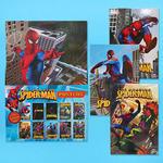 SPIDERMAN 20 X 30